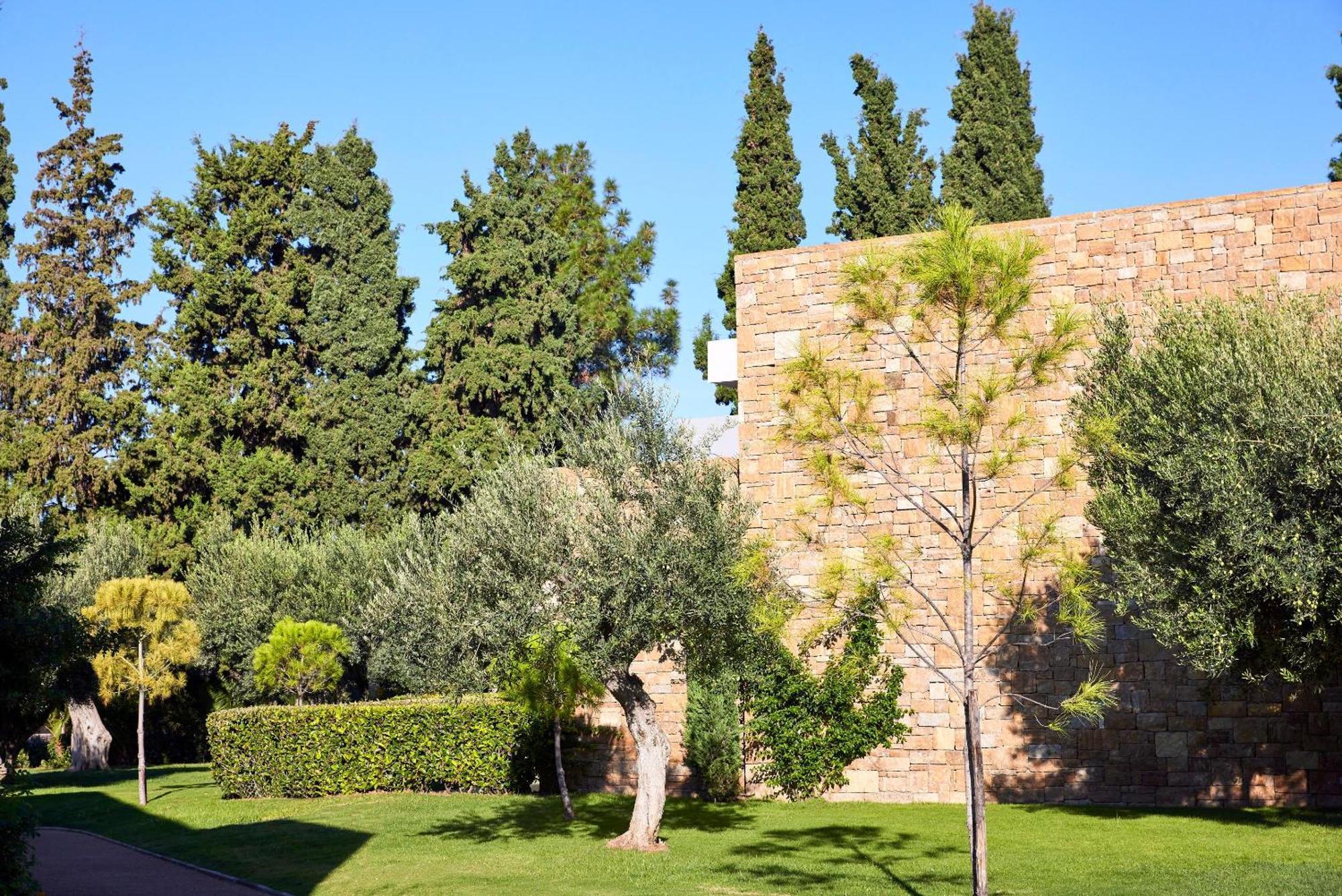 Ikos Olivia Gerakini Exterior foto
