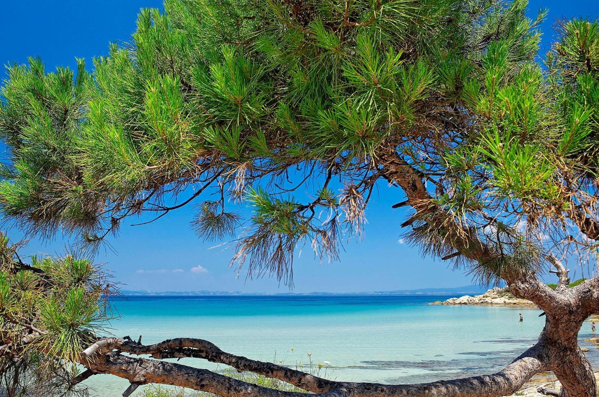 Ikos Olivia Gerakini Exterior foto